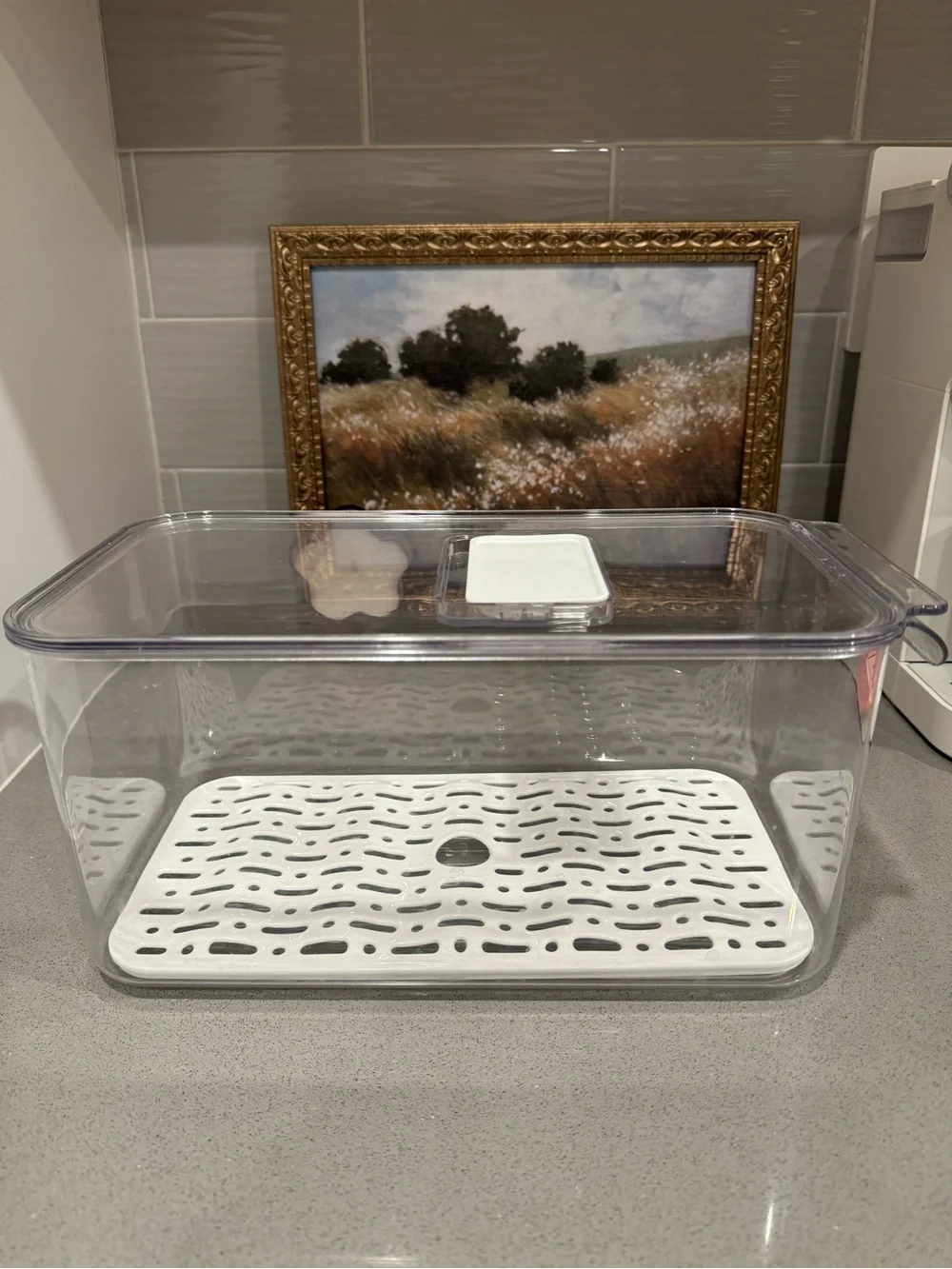 Clear Plastic Kitchen Storage Container with White Drain Tray